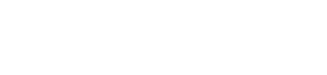 Logo rr88vip99